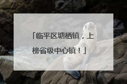 临平区塘栖镇，上榜省级中心镇！