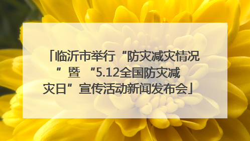 临沂市举行“防灾减灾情况”暨 “5.12全国防灾减灾日”宣传活动新闻发布会