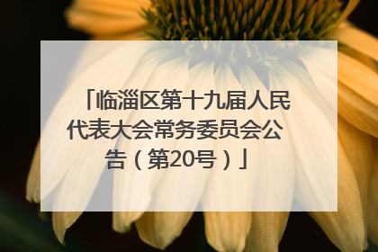 临淄区第十九届人民代表大会常务委员会公告（第20号）
