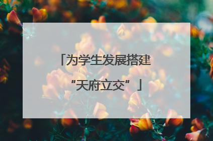 为学生发展搭建“天府立交”