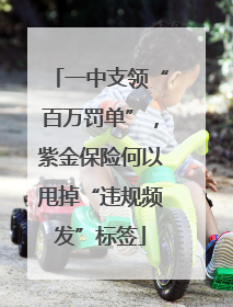 一中支领“百万罚单”，紫金保险何以甩掉“违规频发”标签