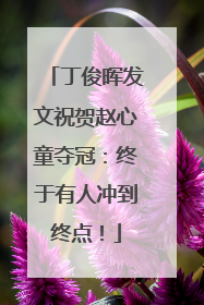 丁俊晖发文祝贺赵心童夺冠：终于有人冲到终点！