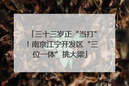 三十三岁正“当打”！南京江宁开发区“三位一体”挑大梁