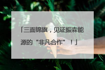 三面锦旗，见证振森能源的“非凡合作”！