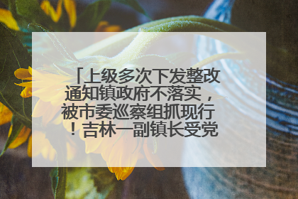 上级多次下发整改通知镇政府不落实，被市委巡察组抓现行！吉林一副镇长受党内警告处分