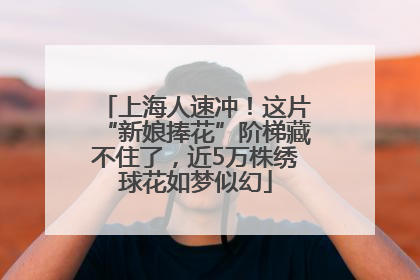 上海人速冲！这片“新娘捧花”阶梯藏不住了，近5万株绣球花如梦似幻