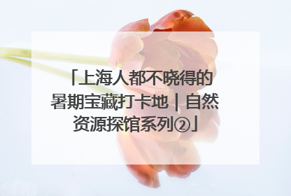上海人都不晓得的 暑期宝藏打卡地｜自然资源探馆系列②