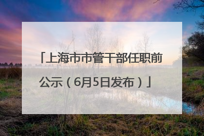 上海市市管干部任职前公示（6月5日发布）