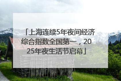 上海连续5年夜间经济综合指数全国第一，2025年夜生活节启幕