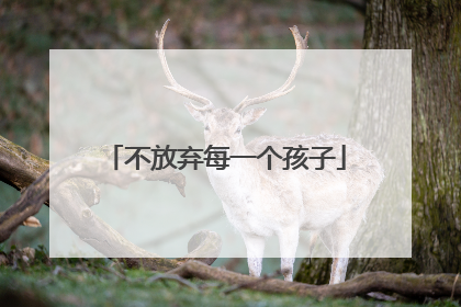 不放弃每一个孩子