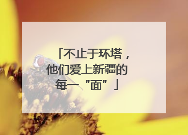 不止于环塔，他们爱上新疆的每一“面”