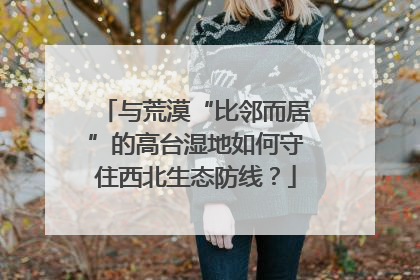 与荒漠“比邻而居”的高台湿地如何守住西北生态防线？