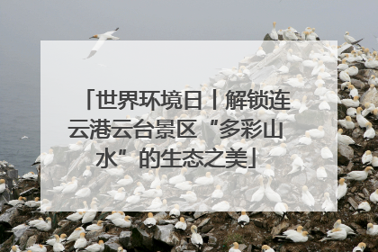 世界环境日丨解锁连云港云台景区“多彩山水”的生态之美