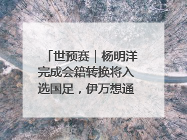 世预赛｜杨明洋完成会籍转换将入选国足，伊万想通了要打双后腰？