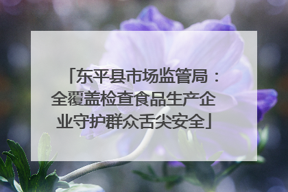 东平县市场监管局：全覆盖检查食品生产企业守护群众舌尖安全