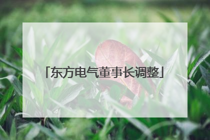 东方电气董事长调整