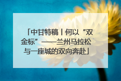 中甘特稿丨何以“双金标”——兰州马拉松与一座城的双向奔赴