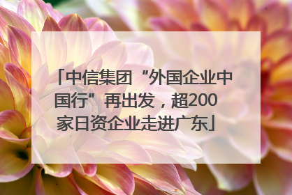 中信集团“外国企业中国行”再出发，超200家日资企业走进广东