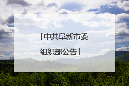中共阜新市委组织部公告