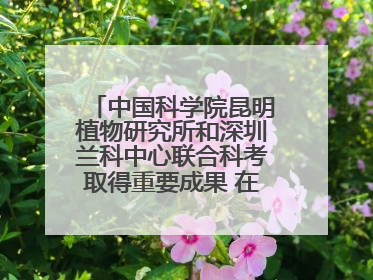 中国科学院昆明植物研究所和深圳兰科中心联合科考取得重要成果 在神农架发现两种“国保”级兰花