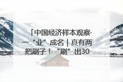 中国经济样本观察·一“业”成名｜真有两把刷子！“刷”出30亿级“颜值经济”