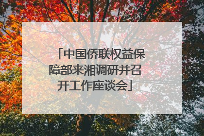 中国侨联权益保障部来湘调研并召开工作座谈会