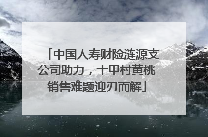 中国人寿财险涟源支公司助力，十甲村黄桃销售难题迎刃而解
