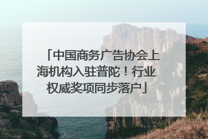 中国商务广告协会上海机构入驻普陀！行业权威奖项同步落户