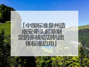 中国标准泉州造 南安牵头起草制定的多线切割机团体标准启用