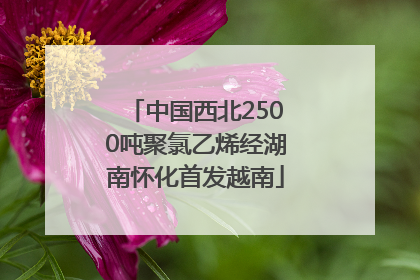 中国西北2500吨聚氯乙烯经湖南怀化首发越南