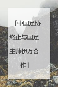 中国足协终止与国足主帅伊万合作
