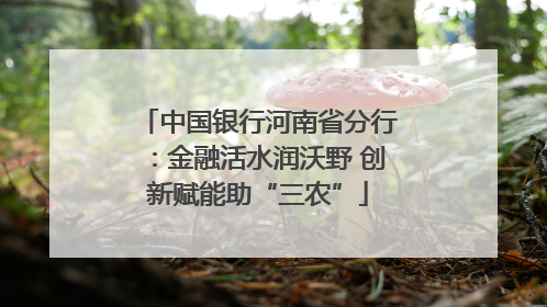 中国银行河南省分行：金融活水润沃野 创新赋能助“三农”