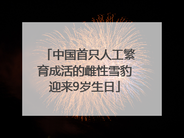 中国首只人工繁育成活的雌性雪豹迎来9岁生日