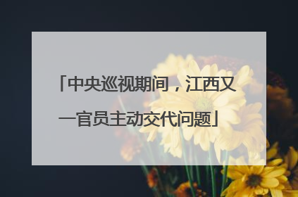 中央巡视期间，江西又一官员主动交代问题