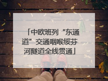 中欧班列“东通道”交通咽喉绥芬河隧道全线贯通