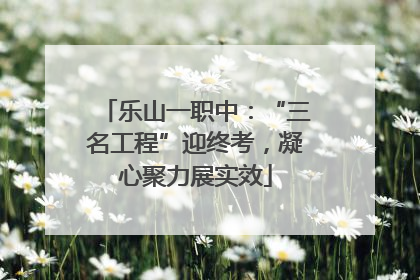 乐山一职中：“三名工程”迎终考，凝心聚力展实效