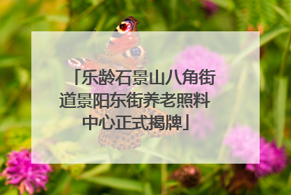 乐龄石景山八角街道景阳东街养老照料中心正式揭牌