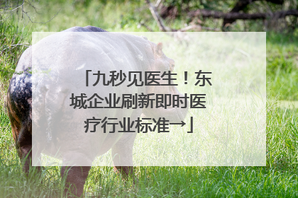 九秒见医生！东城企业刷新即时医疗行业标准→