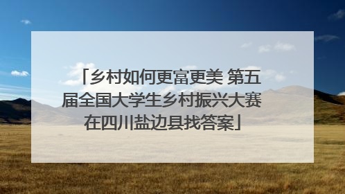 乡村如何更富更美 第五届全国大学生乡村振兴大赛在四川盐边县找答案