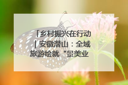 乡村振兴在行动｜安徽潜山：全域旅游绘就“景美业兴民富”新画卷