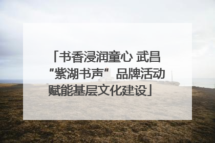 书香浸润童心 武昌“紫湖书声”品牌活动赋能基层文化建设