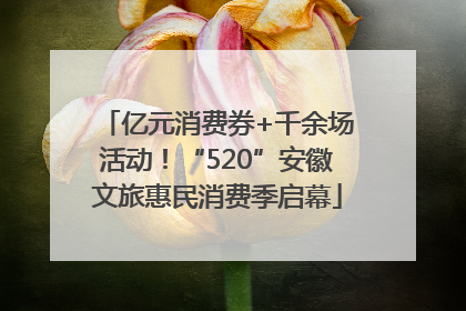 亿元消费券+千余场活动！“520”安徽文旅惠民消费季启幕