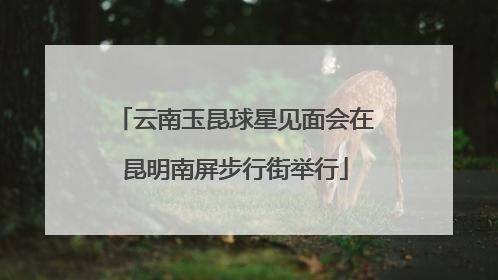 云南玉昆球星见面会在昆明南屏步行街举行