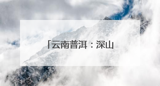 云南普洱：深山藏“绿富密码” 林下中药材长出致富新图景