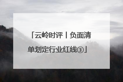 云岭时评丨负面清单划定行业红线③