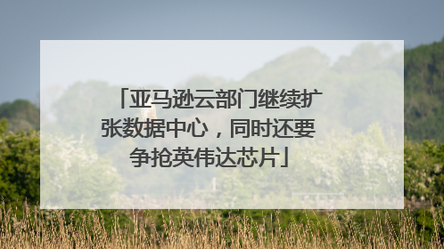 亚马逊云部门继续扩张数据中心，同时还要争抢英伟达芯片