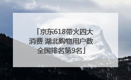 京东618带火四大消费 湖北购物用户数全国排名第9名