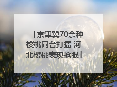 京津冀70余种樱桃同台打擂 河北樱桃表现抢眼