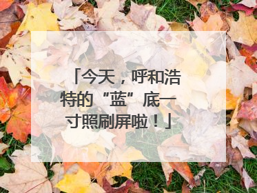 今天，呼和浩特的“蓝”底一寸照刷屏啦！
