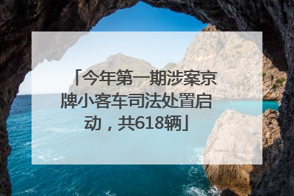 今年第一期涉案京牌小客车司法处置启动，共618辆